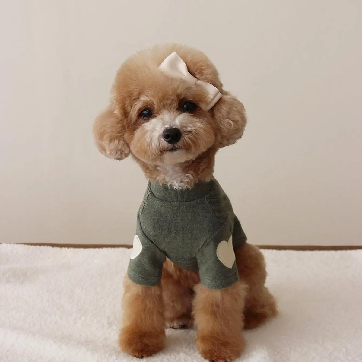 Polyester dog sweater in beige, pink, dark green or brown, sizes XS to XL, with base embroidery for autumn and winter.