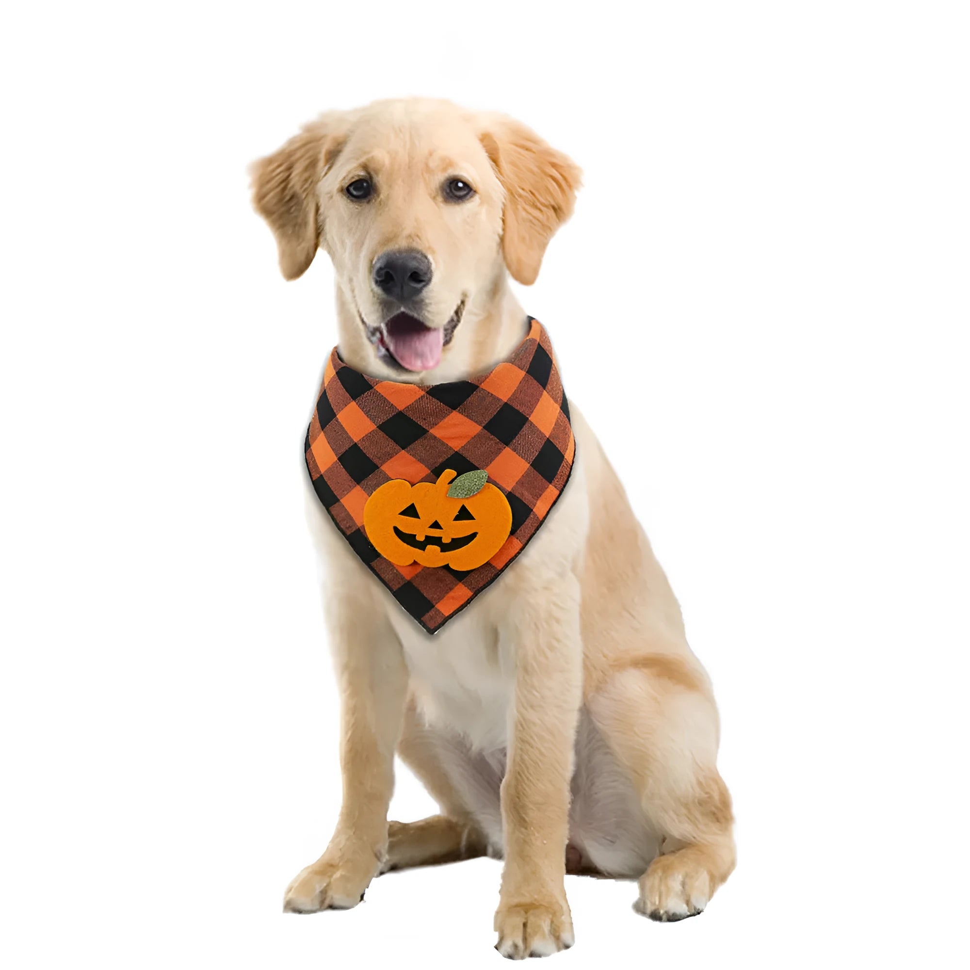 Orange Halloween dog bandana with pumpkin and skeleton felt appliques on plaid fabric