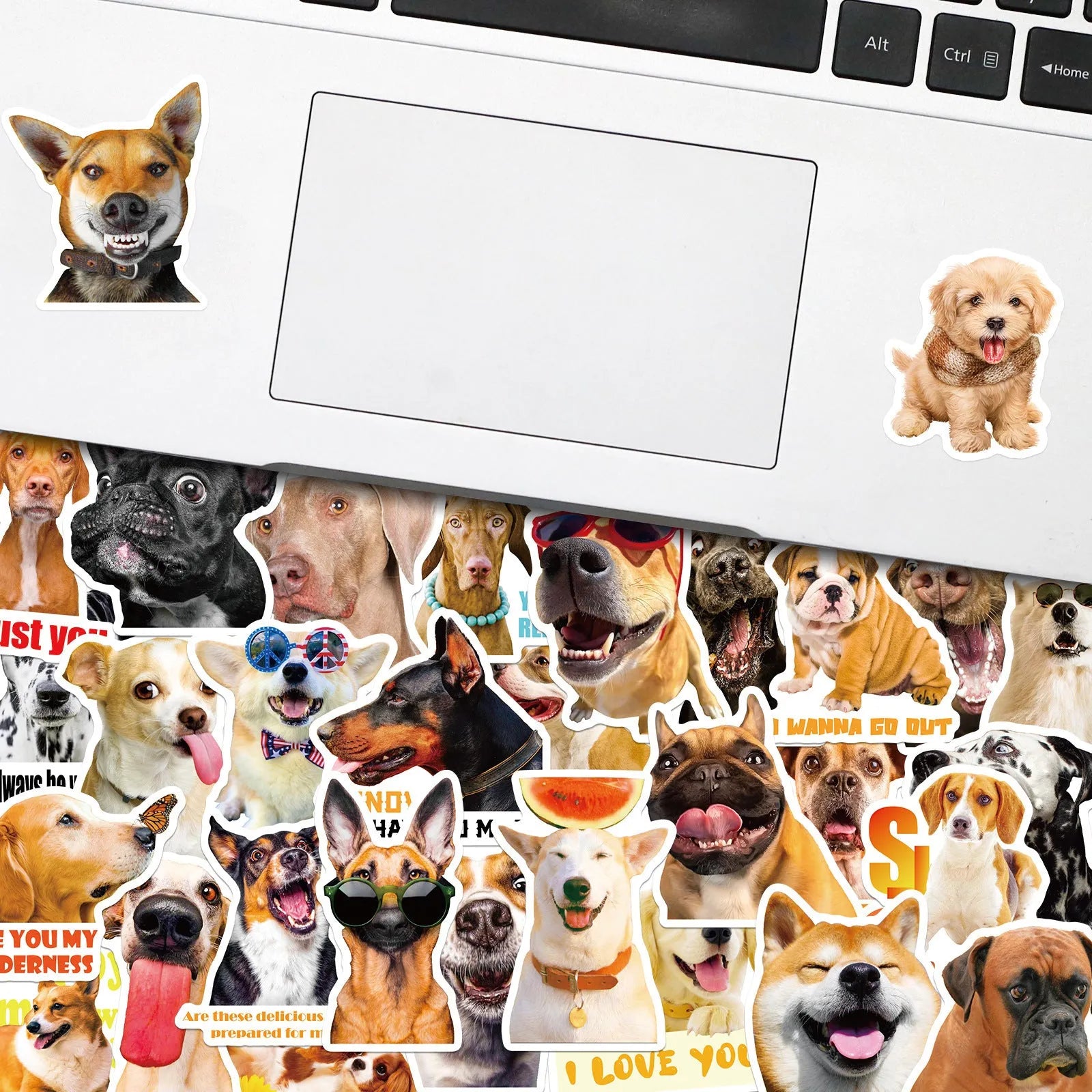 Pack of 100 realistic Nordic style dog facial expression stickers for crafts.