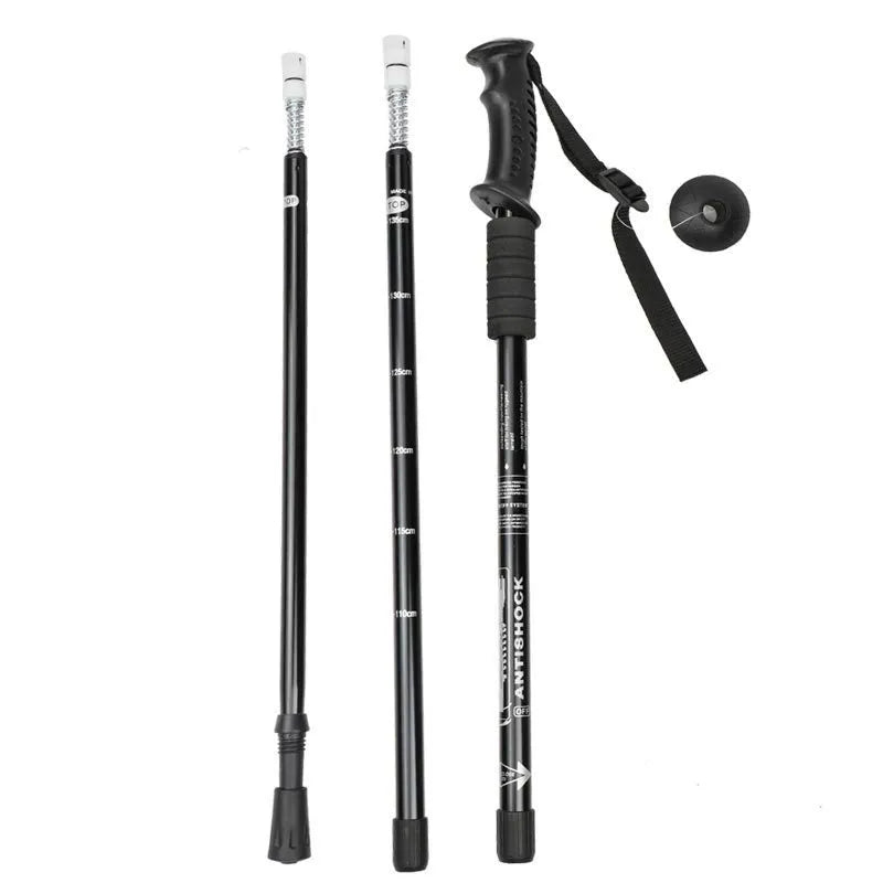 A pair of adjustable silver aluminium trekking poles with various foot attachments on a hiking trail.