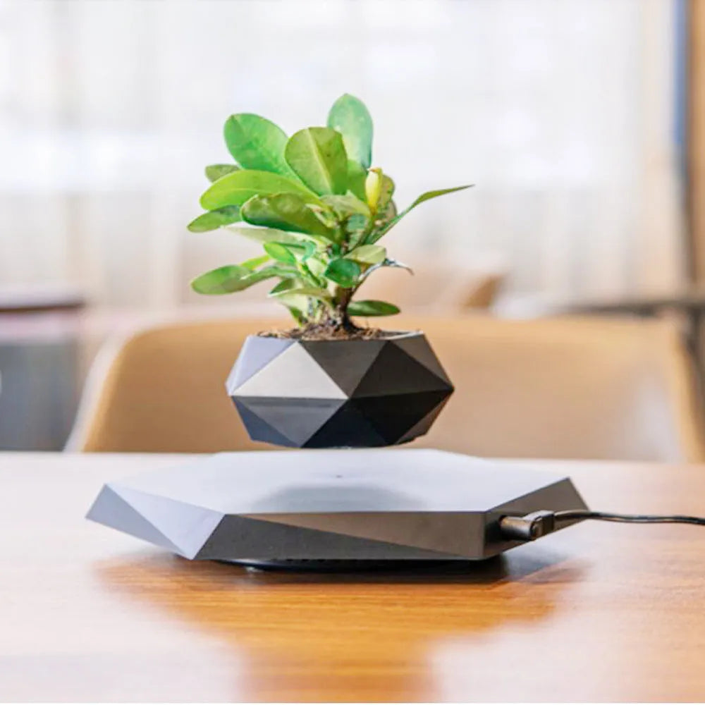 Hexagonal wood grain magnetic levitating plant pot floating above circular base