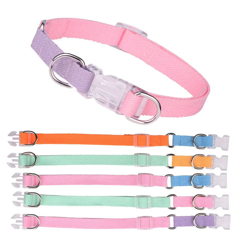 Polyester dog collar, lead, and chest strap harness set in colour combination with adjustable sizing