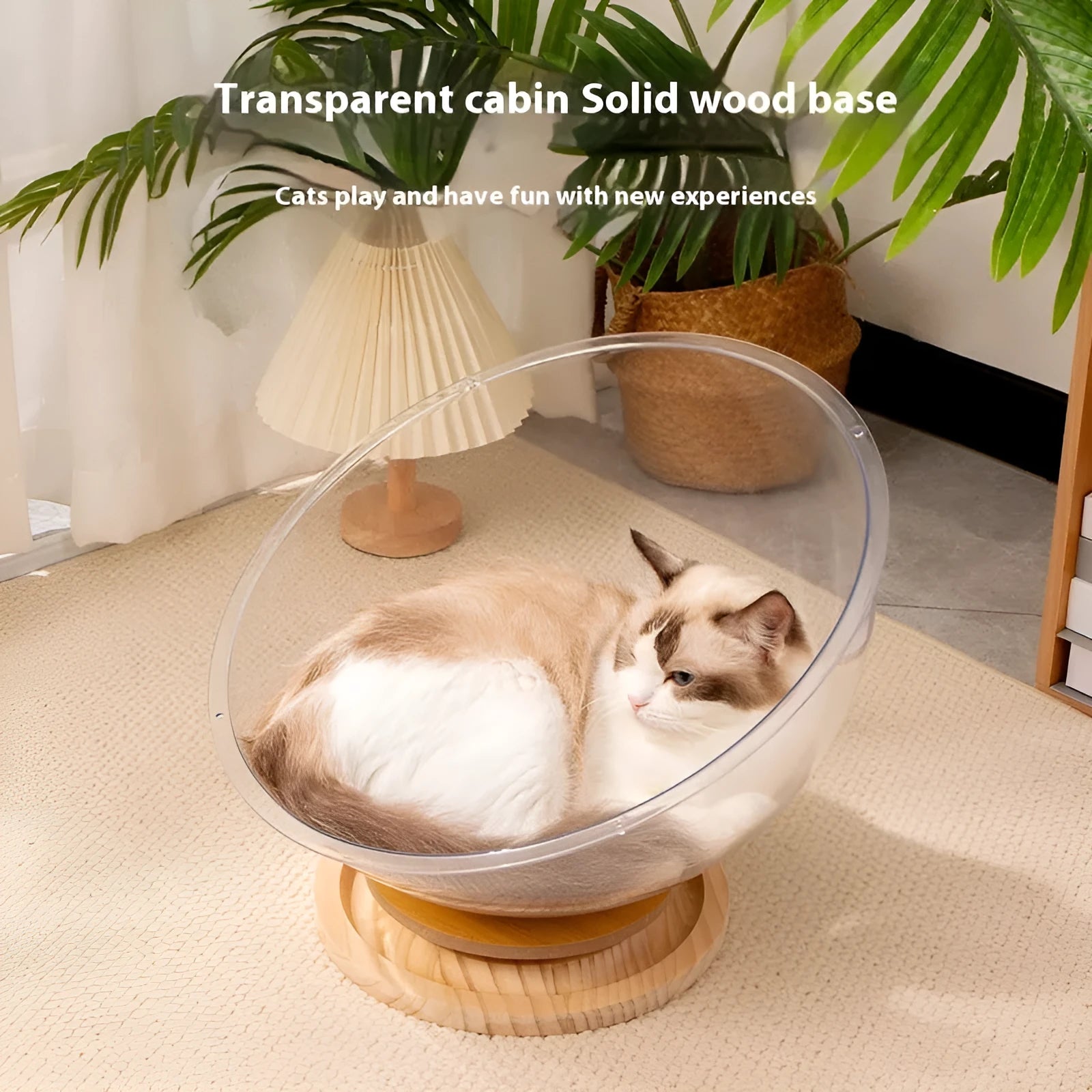 Transparent acrylic space capsule cat bathtub pet bed with turntable design