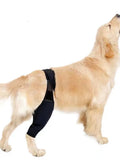 Dog leg support protector in diving cloth and mesh, adjustable Velcro strap, for front and rear legs, sizes XS to XL.