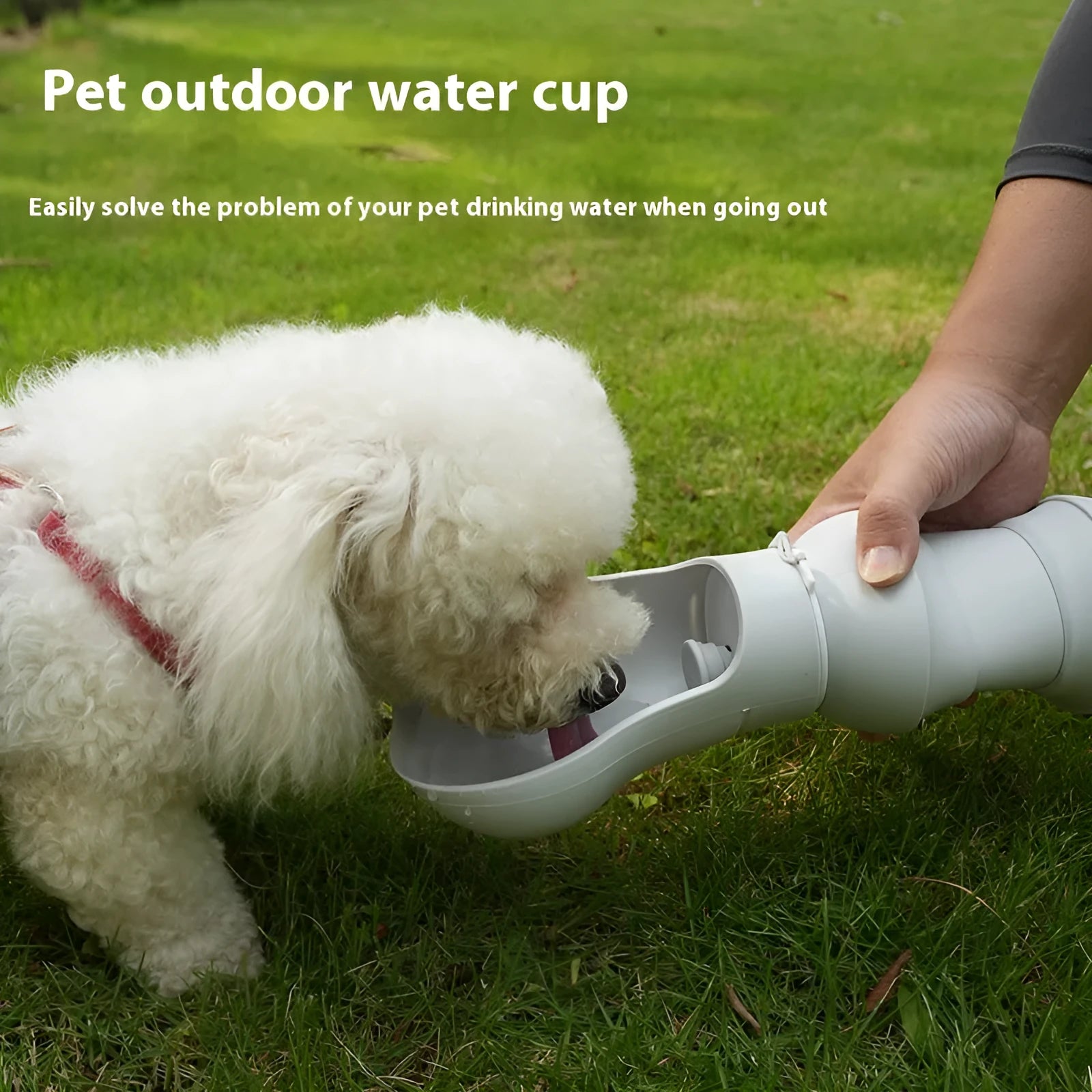 Silicone folding pet water cup shown in long and short specifications, collapsed and open.