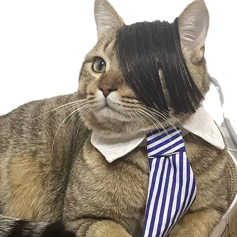Black imitation braid pet wig for cats on a feline model, showing lightweight polyester construction