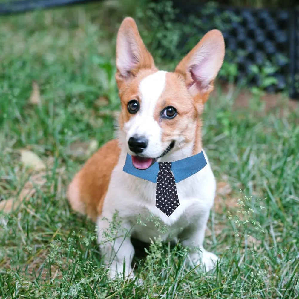 Blue denim dog collar with an adjustable fastener and a choice of bow tie or necktie in a star pattern.
