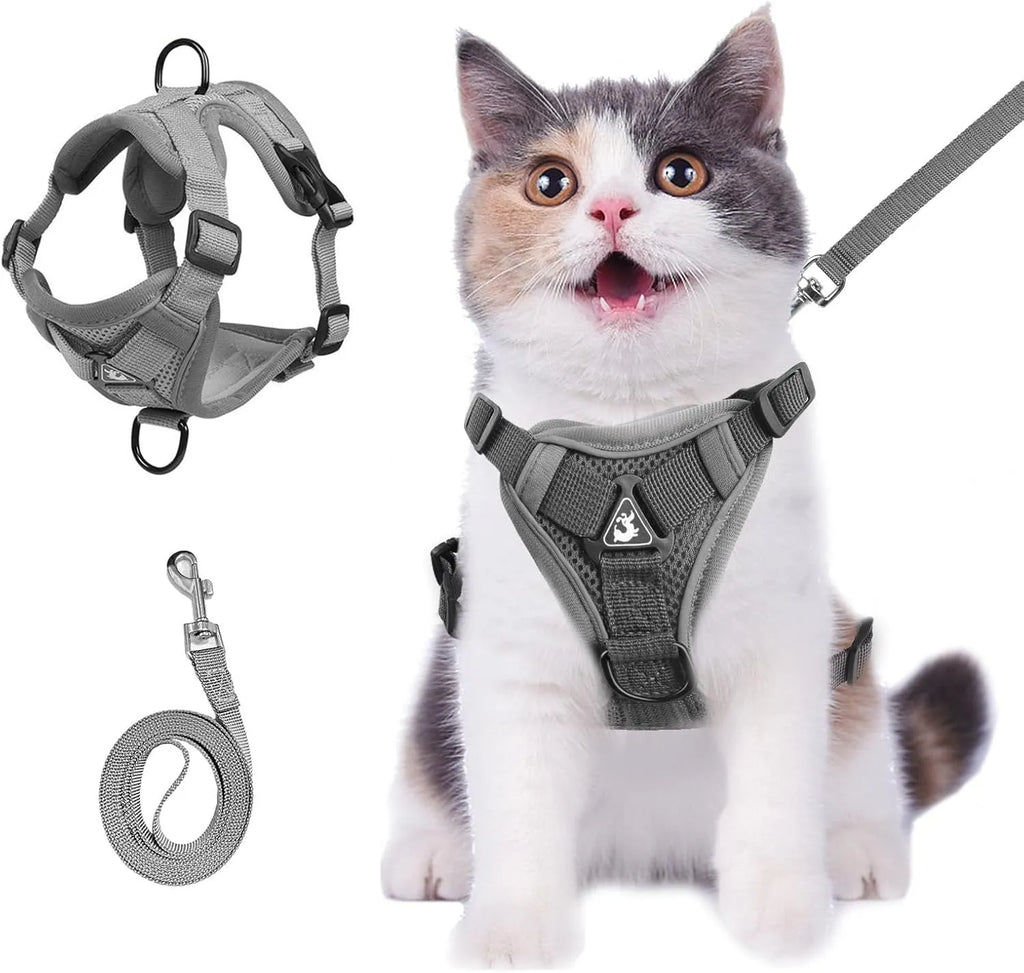 Adjustable mesh cat harness with leash showing reflective strips and secure snap fastenings