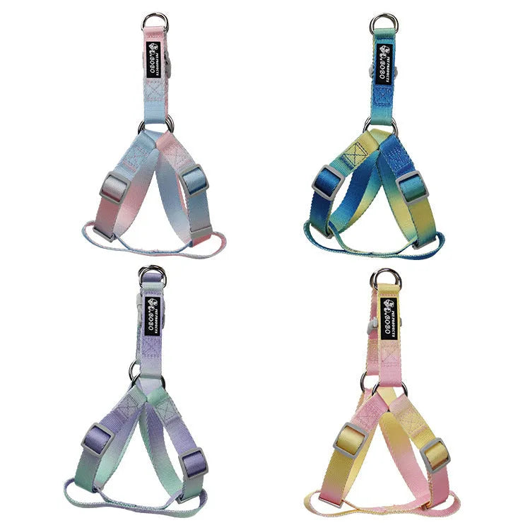 Nylon dog leash set with gradient colours in pink and blue, showing collar, chest strap, and lead for secure walks