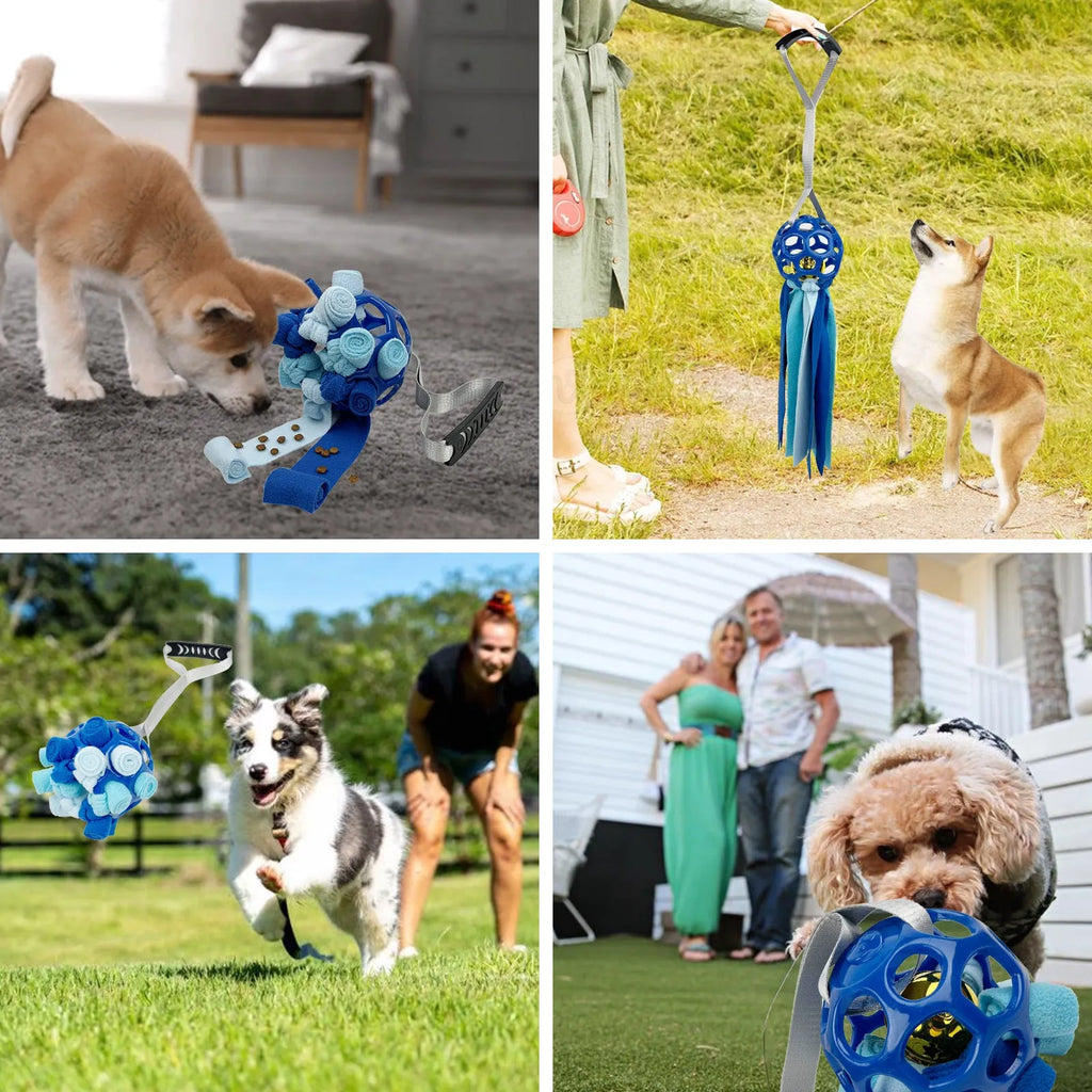 TPR interactive pet ball with bell sound in five colours for dogs and cats