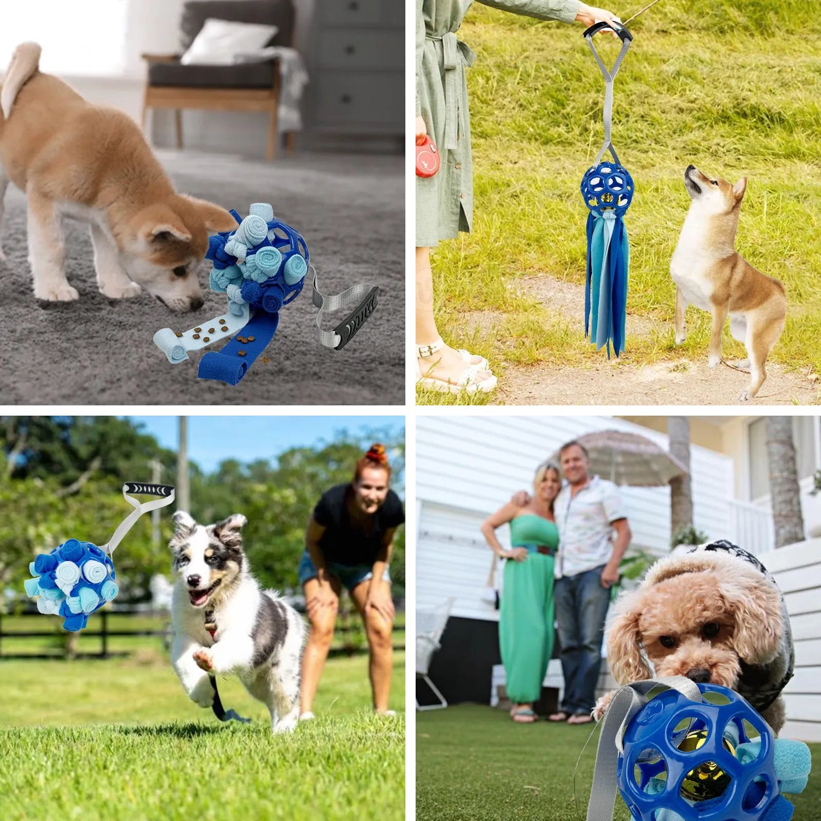 TPR interactive pet ball with bell sound in five colours for dogs and cats