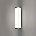 60cm long strip outdoor wall light with stainless steel body and LED illumination