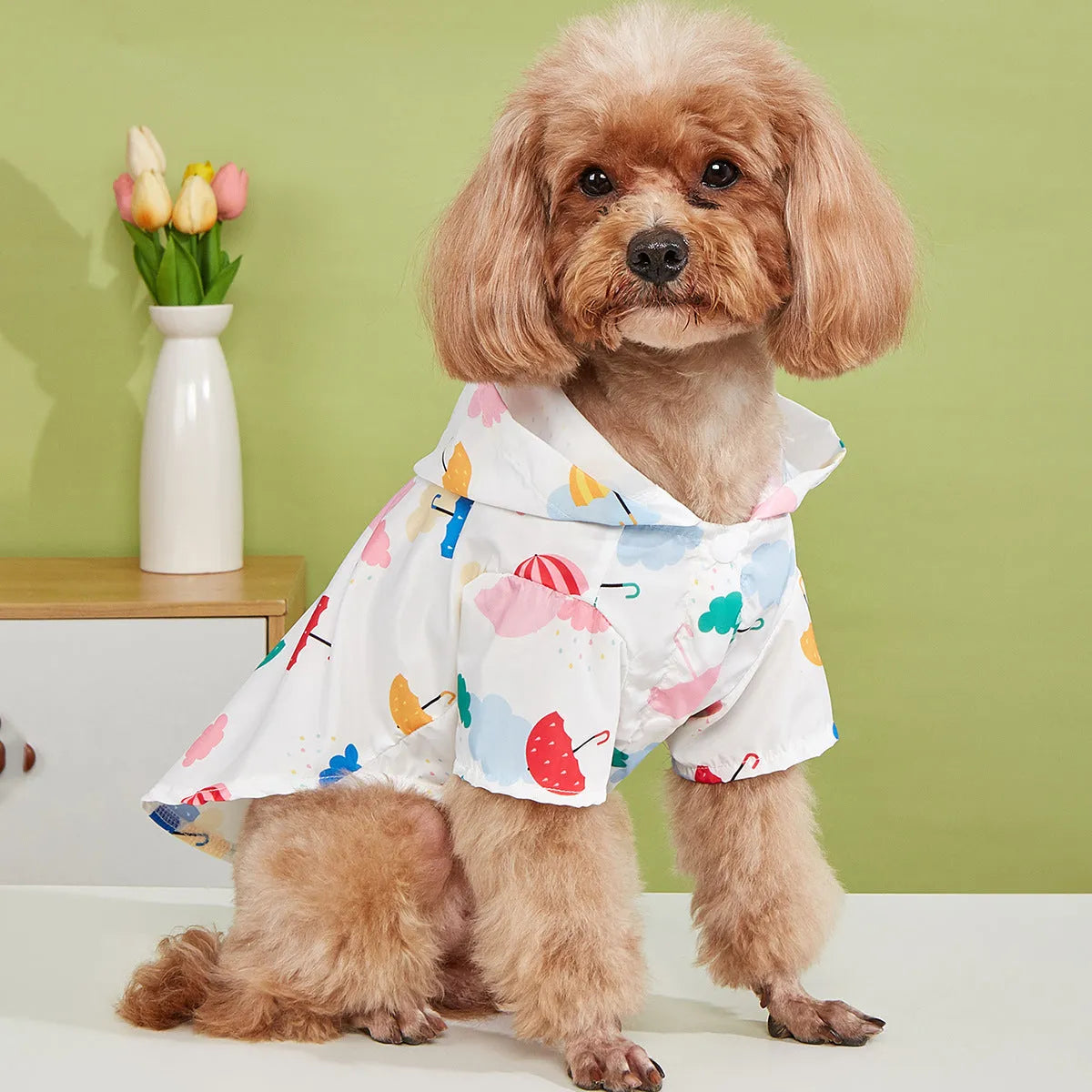 Cartoon umbrella pattern pet raincoat in polyester for dogs and cats, waterproof protection in sizes XS to XL