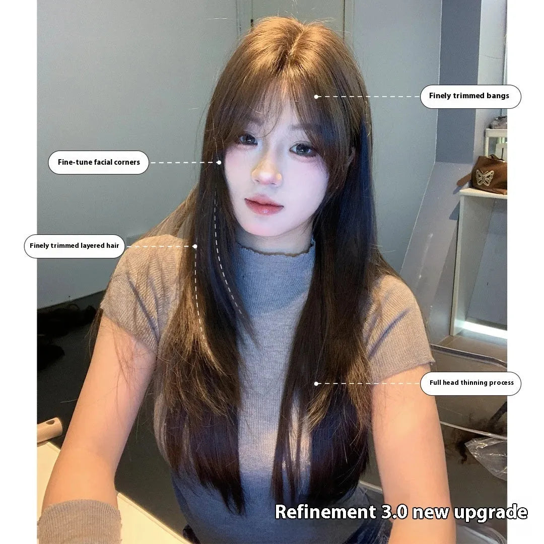 Layered long straight wig in cold brown colour with lace net construction