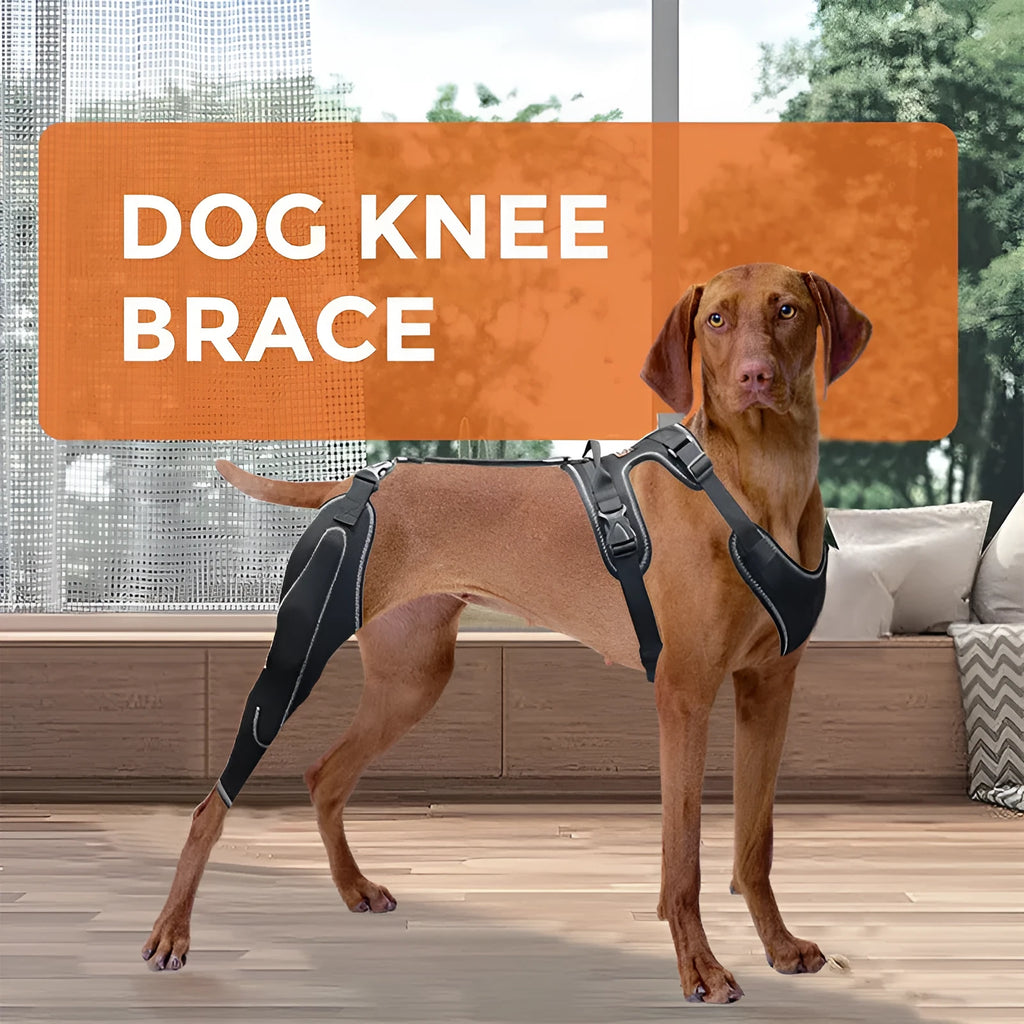 Black dog thigh protective sleeve with adjustable metal support for postoperative leg warming