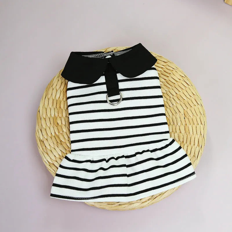 Pet wearing striped cotton T-shirt and skirt set in casual style