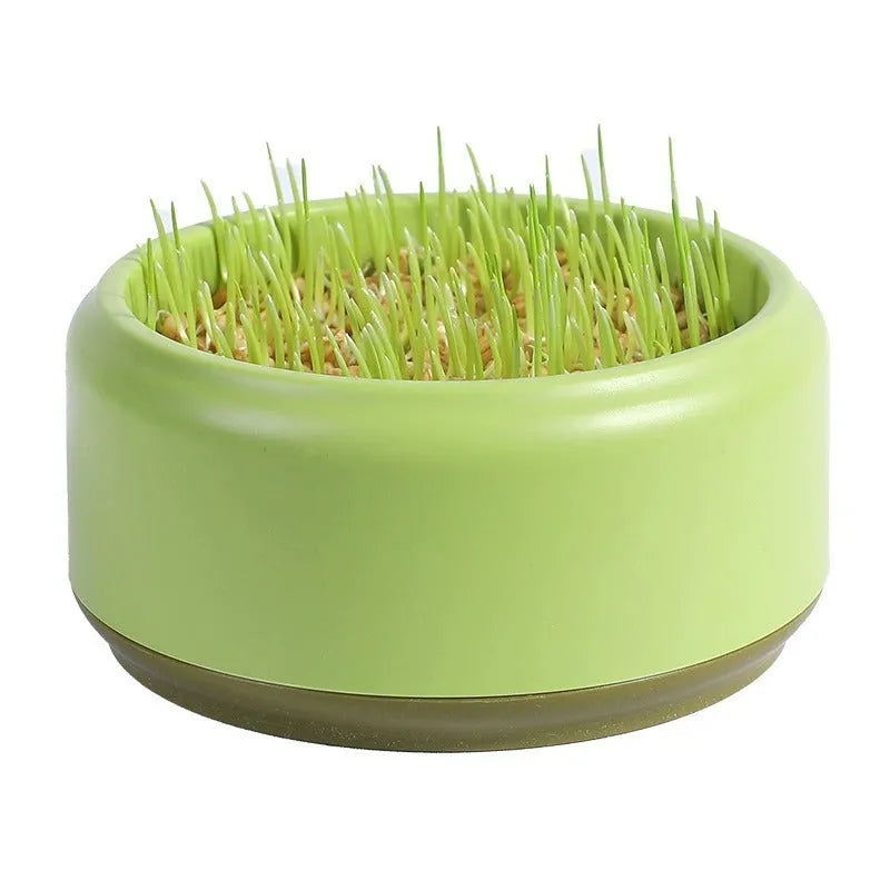 Hydroponic cat grass kit with blue cultivation cup and five seed packs for soilless indoor growing
