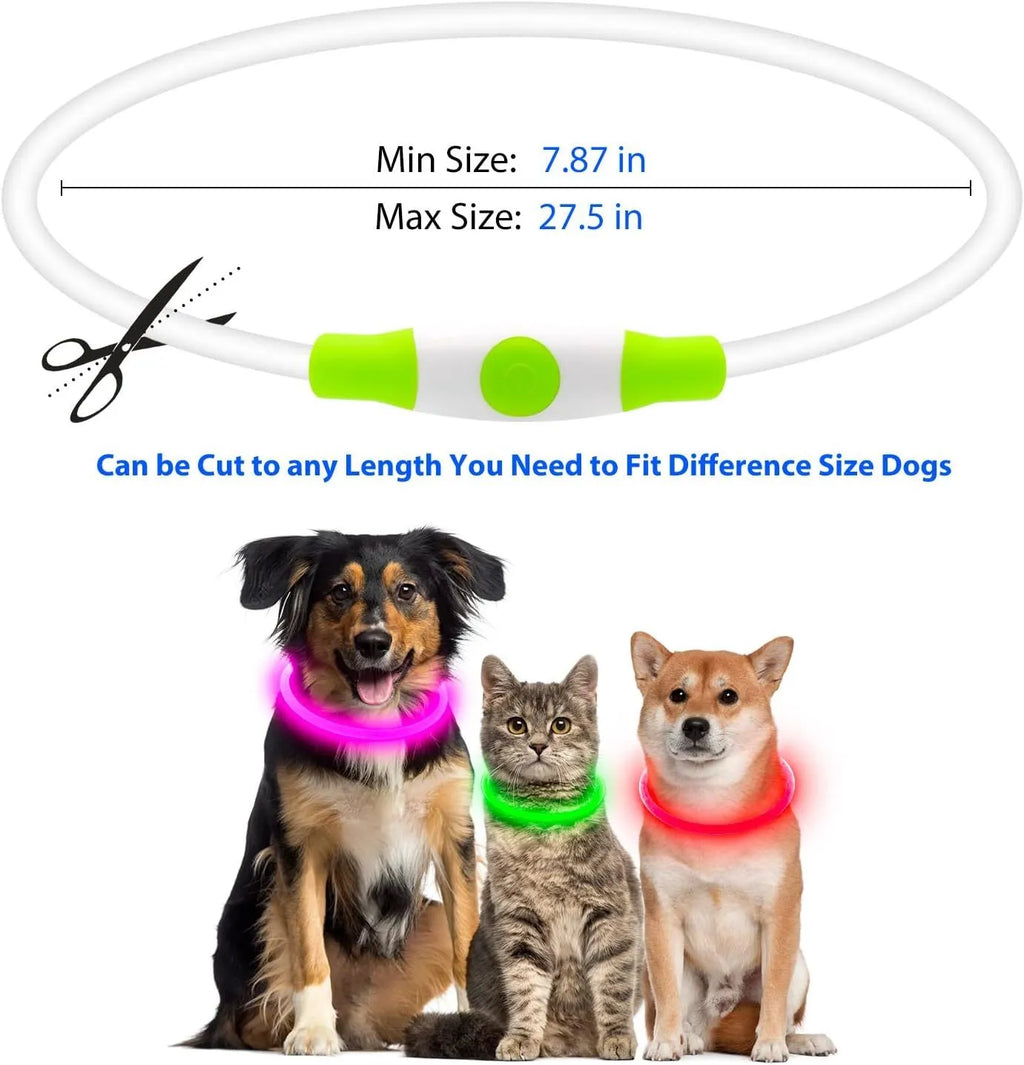 USB-rechargeable LED dog collar glowing in blue with adjustable 70cm length for pet safety