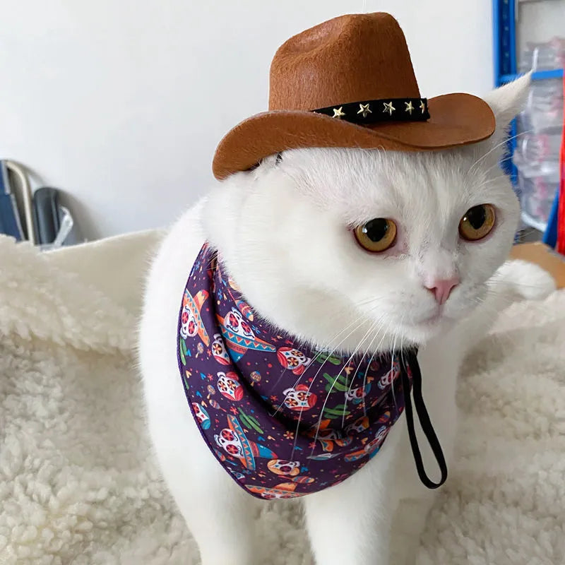 British-style cat cowboy hat in non-woven fabric with trim options like velvet belt and ribbon, sizes S and M.