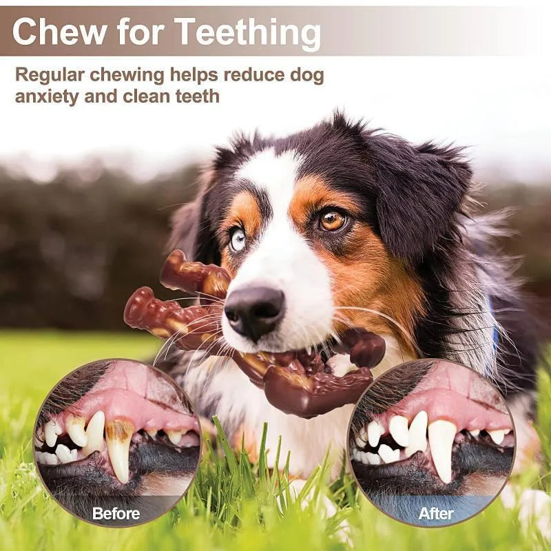 Scarlet red bone-shaped nylon dog chew toy with beef flavour for molar nibbling.