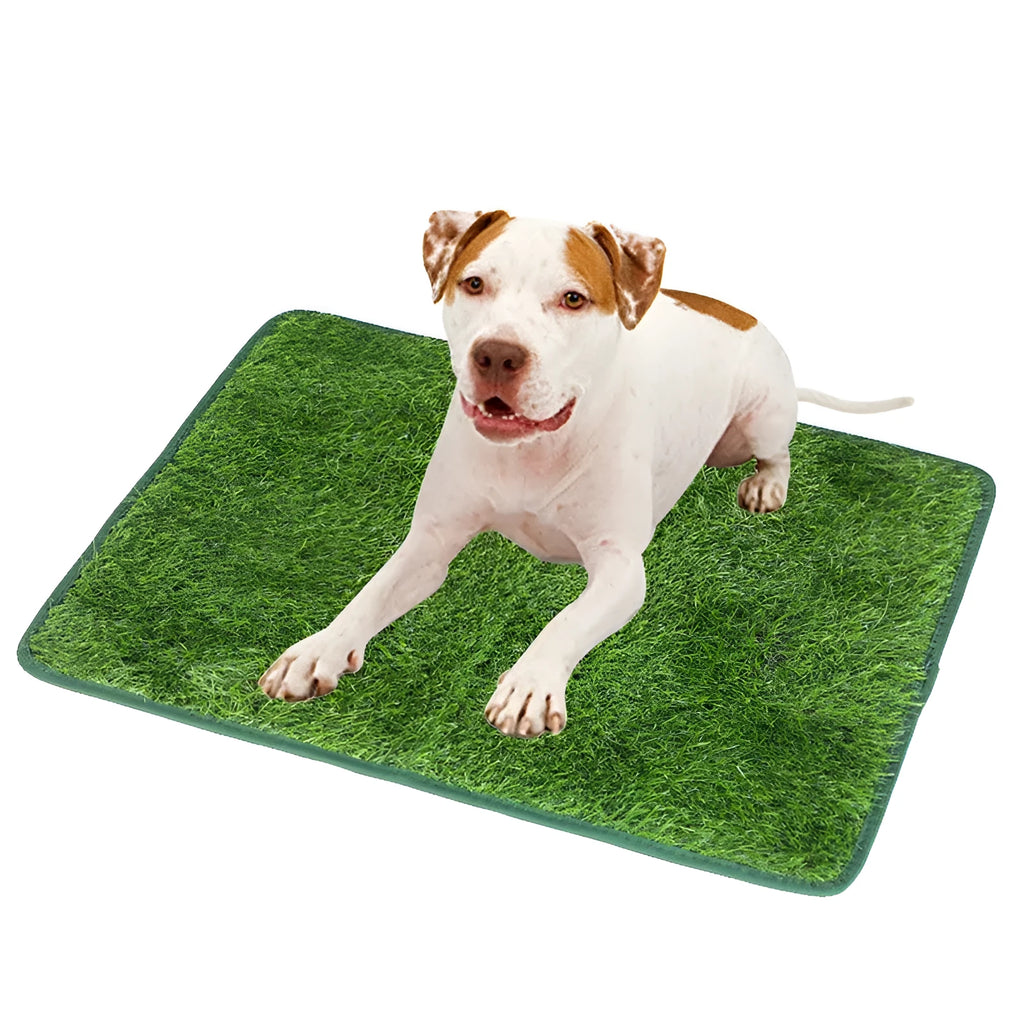 Green washable dog grass pee pad on a patio for pet potty training