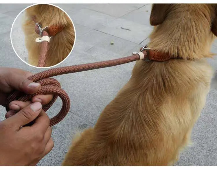 Brown nylon P chain dog leash with hand-holding rope, showing 2.1m length and adjustable chain mechanism