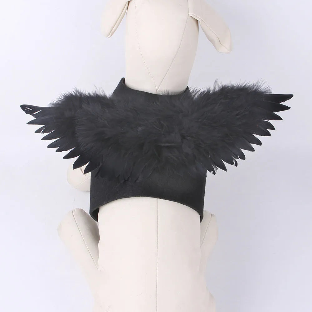Black and white angel wings costume for dogs on chest and back, with adjustable straps.