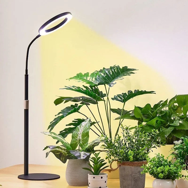 6-inch Angel Ring retractable floor plant grow light with aluminium alloy shell and 72 LED beads