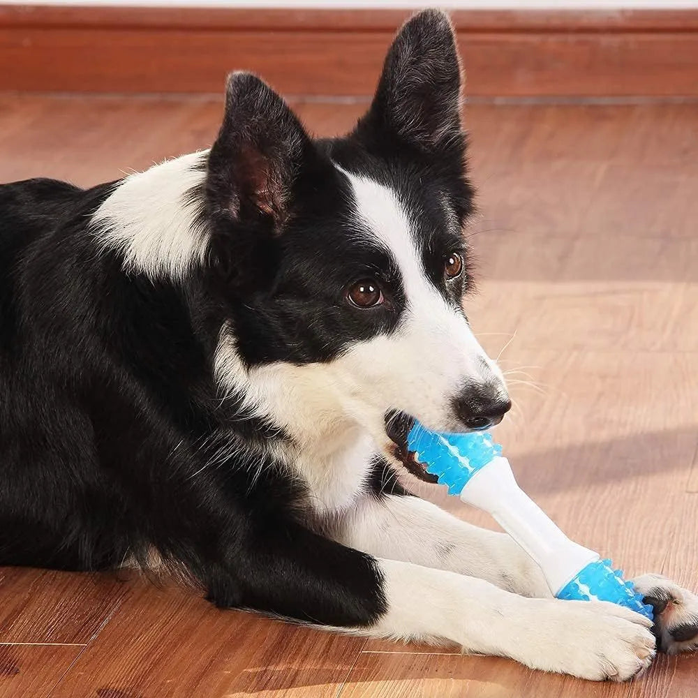 Dual-colour puppy teething chew toy with dual-hardness PU rubber for dental health and teething relief
