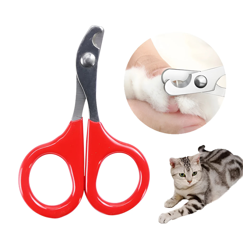 Professional stainless steel pet nail clippers with coloured plastic and rubber handle.