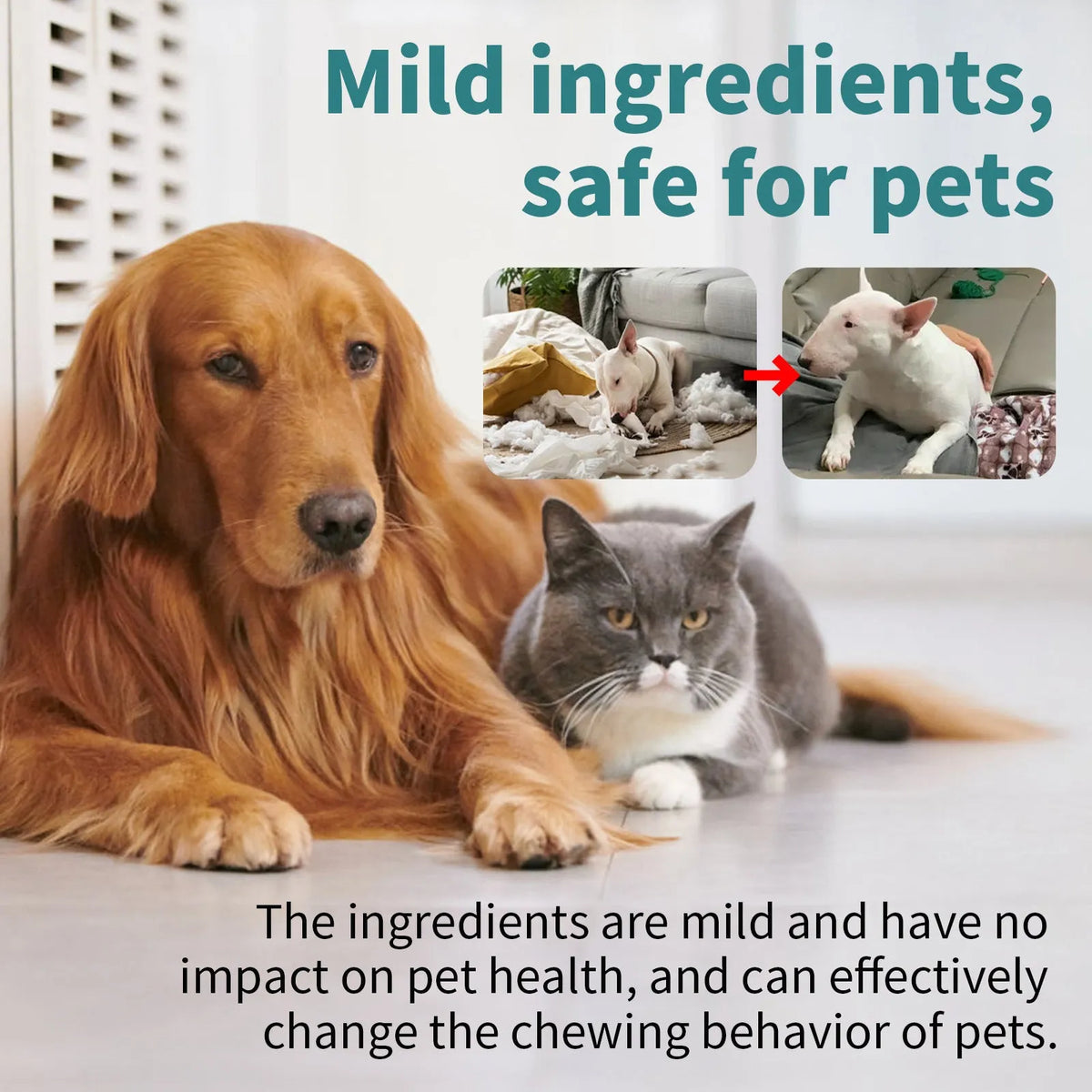 100ml pet correction chewing spray bottle for dogs and cats, anti-scratching sofa and gnawing deterrent