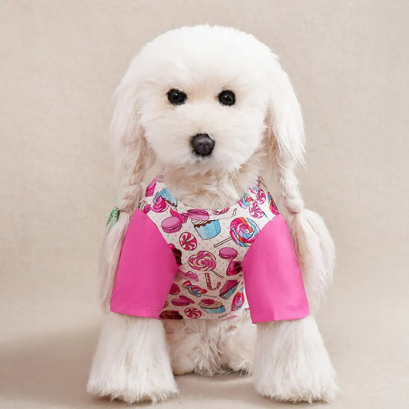 Small dog wearing full printed polyester T-shirt in spring setting