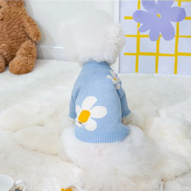 Small dog wearing blue knitted polyester jumper with weight-based sizing for autumn and winter