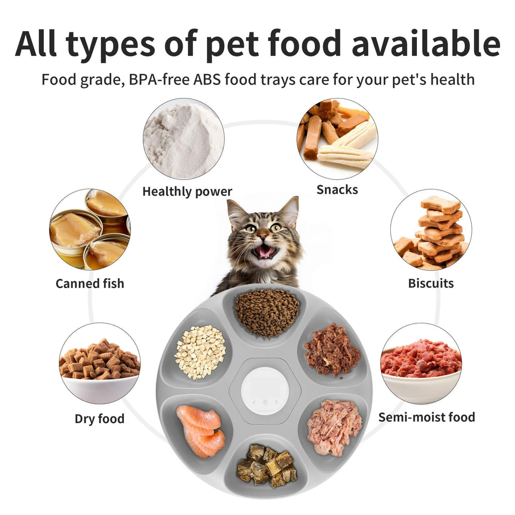 Donut Frost WiFi automatic pet feeder with app control display, six food compartments, and two ice packs.