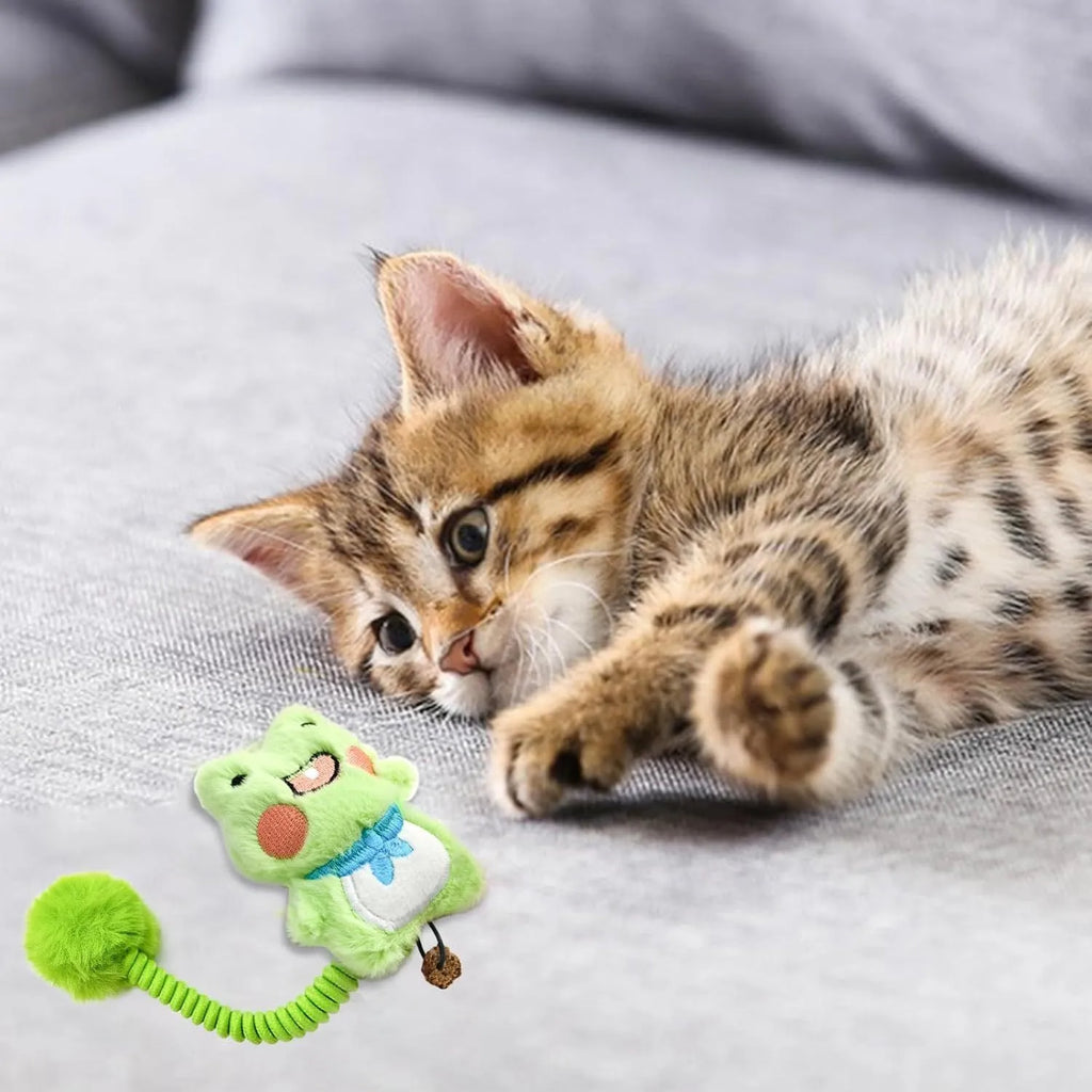 Cat interactive toy set with silvervine fruit, stretching spring, and plush fuzzy ball