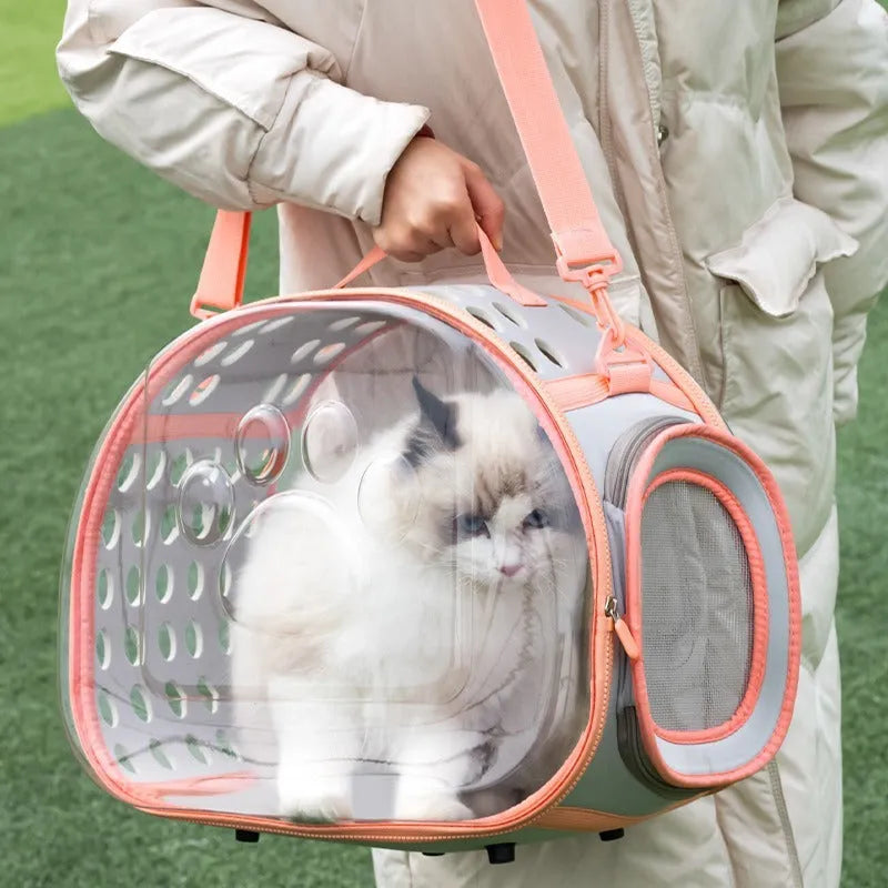 Transparent hard EVA cat backpack in grass green, showing 42x28x35cm dimensions and foldable design for storage