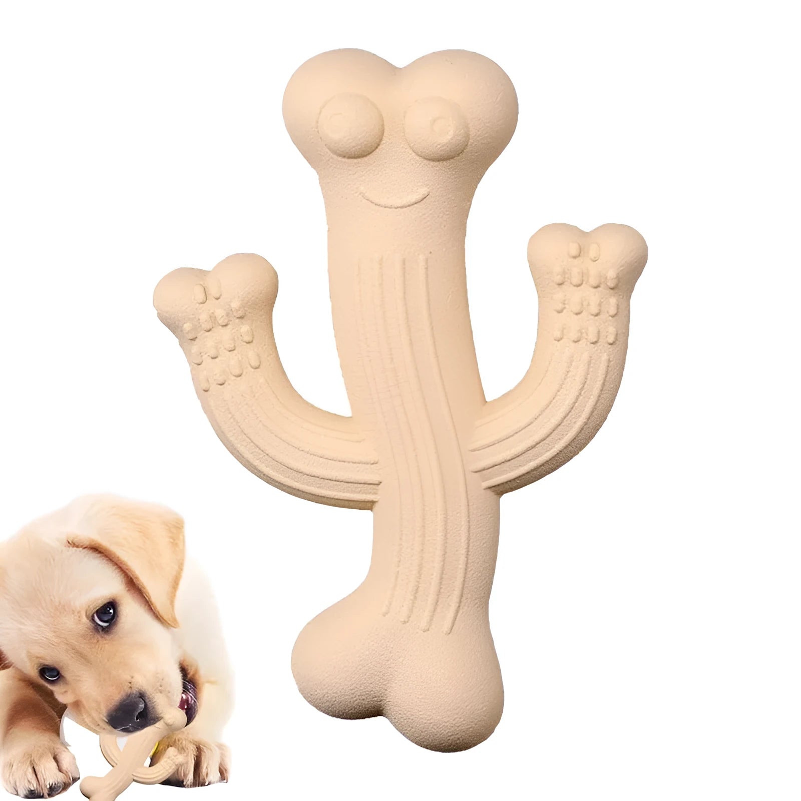 Beige, blue, or purple cactus-shaped dog chew toy made from bamboo fibre and rubber shown in small and large sizes.