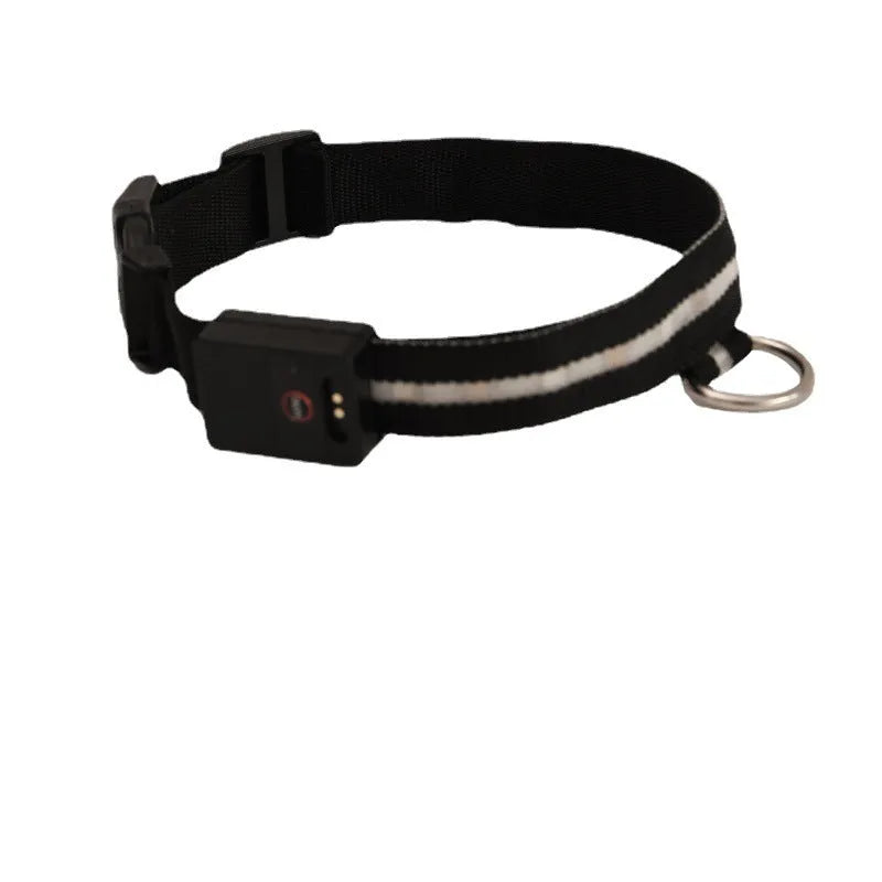 Black LED luminous dog collar with cartoon design and included rope lead for walking