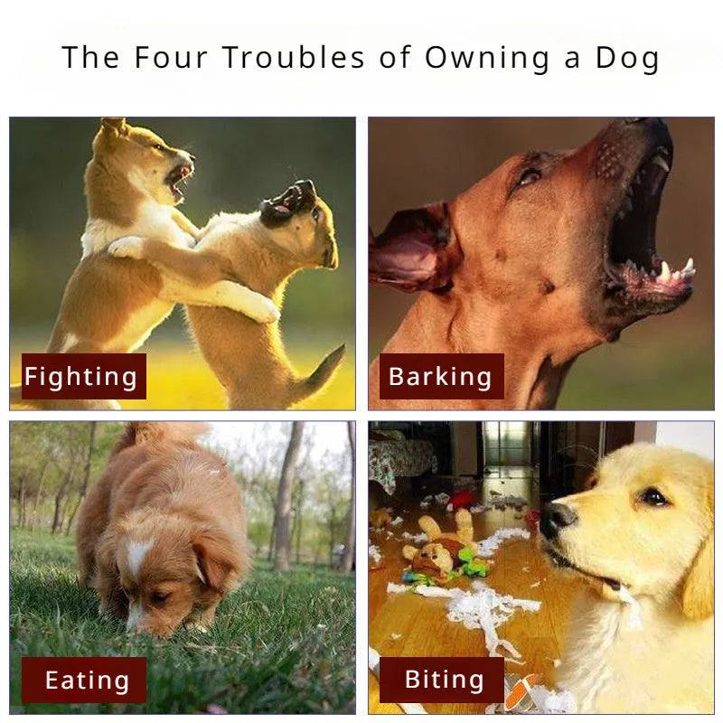 Adjustable dog muzzle silencer for barking and bite prevention on golden retriever