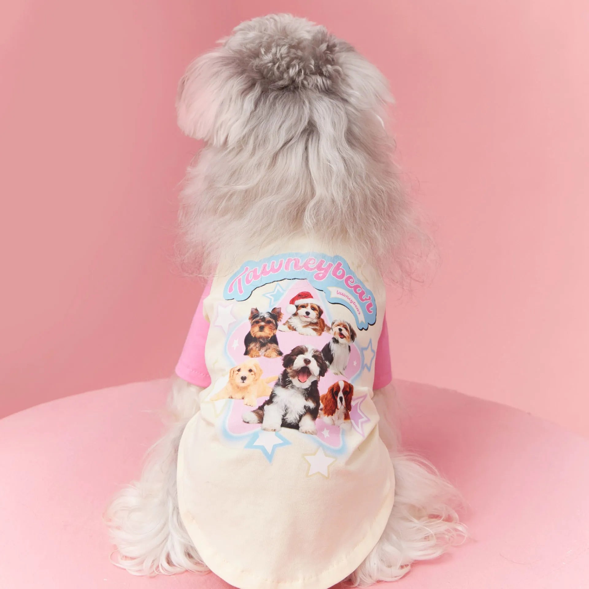 Cotton summer dog clothes with embroidered contrast colour design in red or pink options