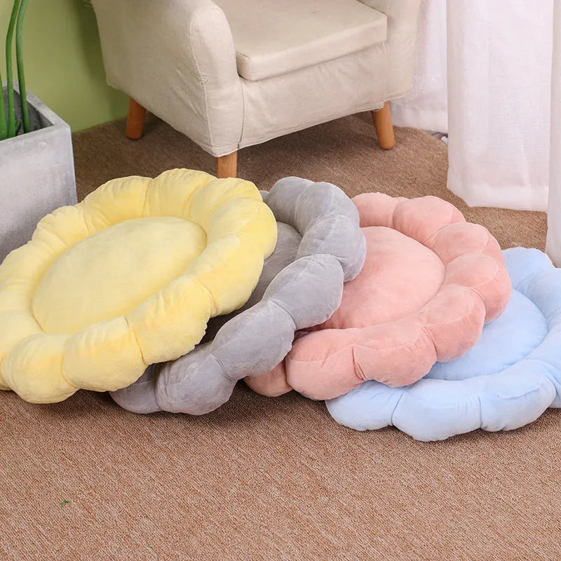 Blue half-surrounded plush pet bed with multi-colour petals, measuring 50x50cm, for cats and small dogs.