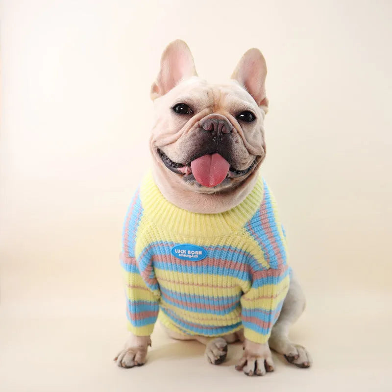 Blue and yellow striped wool sweater for small dogs on a white background