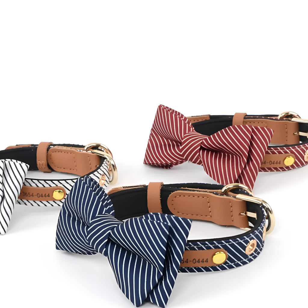 Simple cotton dog collar with a detachable bow, shown in dark blue, wine red, and white colour options.