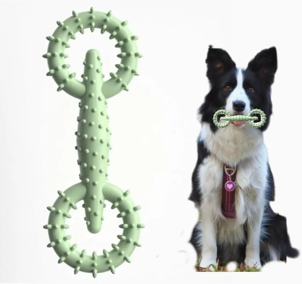 Blue TPR dog chew toy ring measuring 16cm in diameter for puppy teething relief