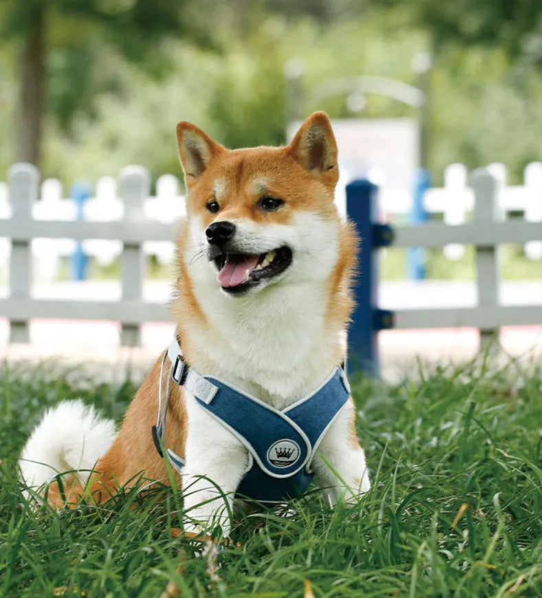 Adjustable mesh dog harness with reflective strips and metal back ring in multiple colour options