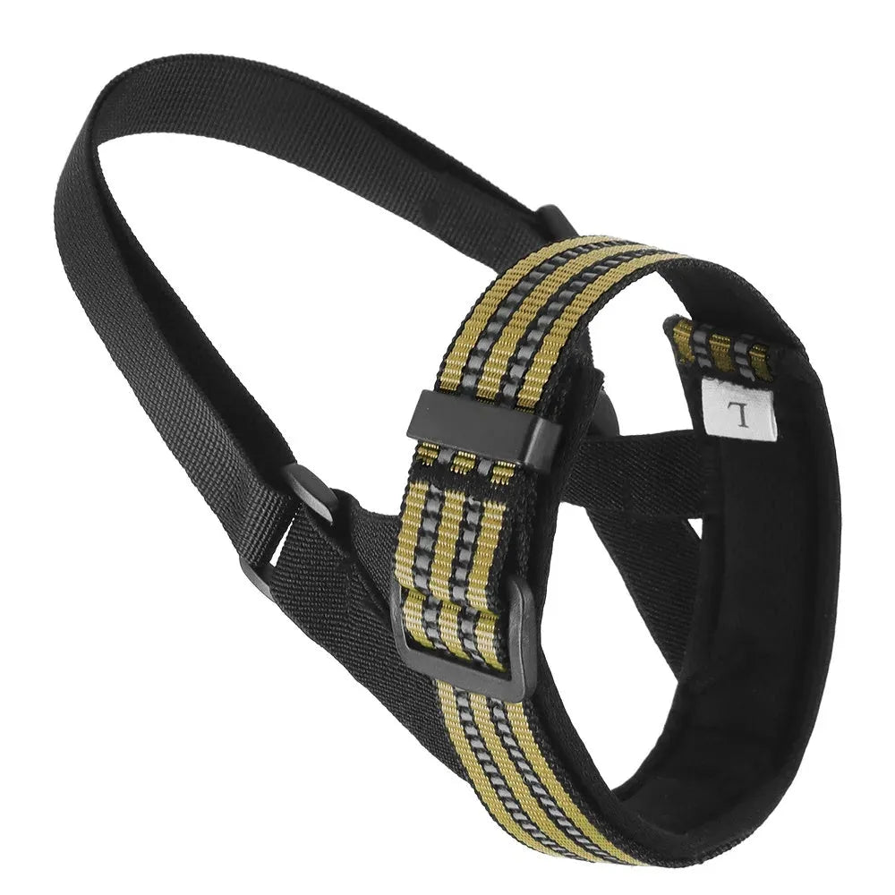 Adjustable reflective dog muzzle on a large breed dog, showing strap and muzzle cover.