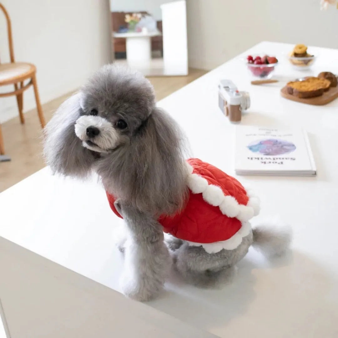 Red Chinese-style pet clothing with thick fur collar for dogs and cats in festive New Year outfit