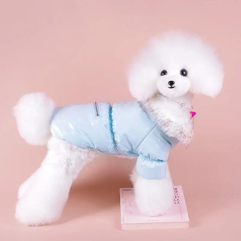 Blue cotton down jacket for puppy with British style design for autumn and winter wear