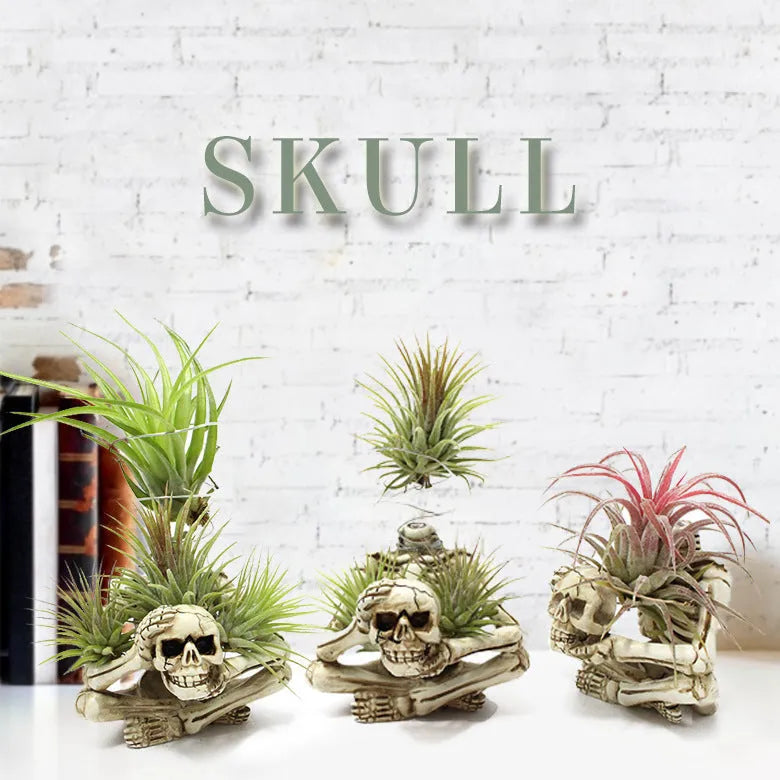 Tillandsia bracket with skull Gothic design in resin, measuring 7x8x12.5cm, featuring breathable soilless plant support