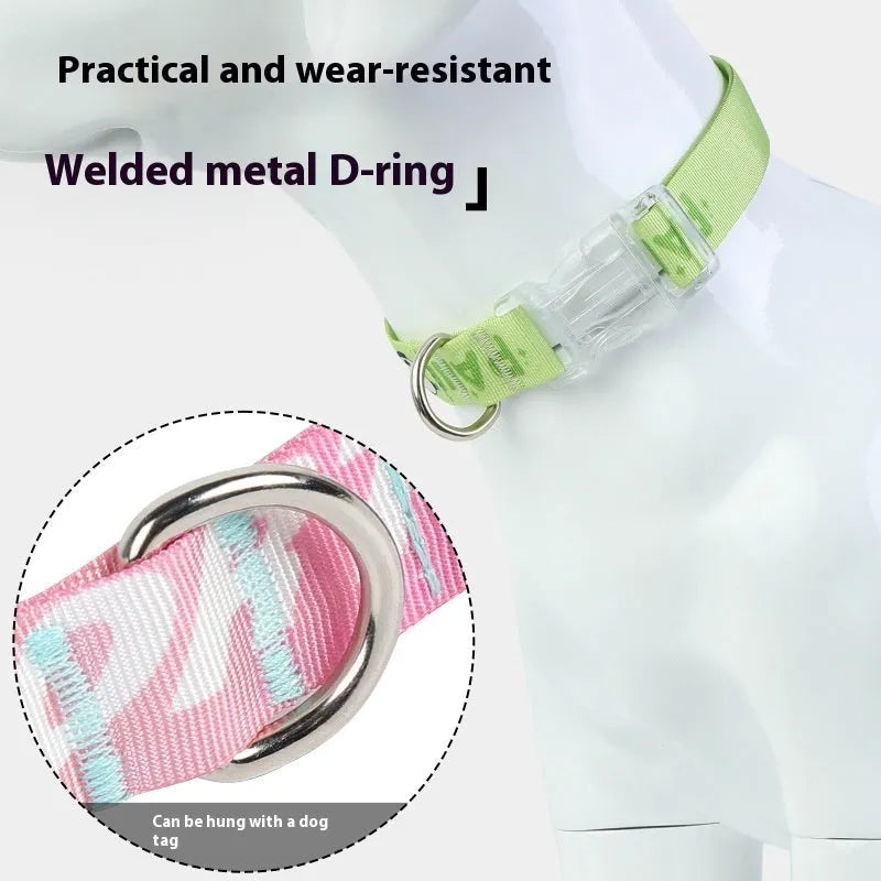 Adjustable nylon dog collar with cartoon gradient printing in gradient colour or panda green, showing secure buckle and size tags.
